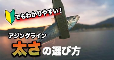 初心者でもわかりやすい！アジングラインの太さの選び方
